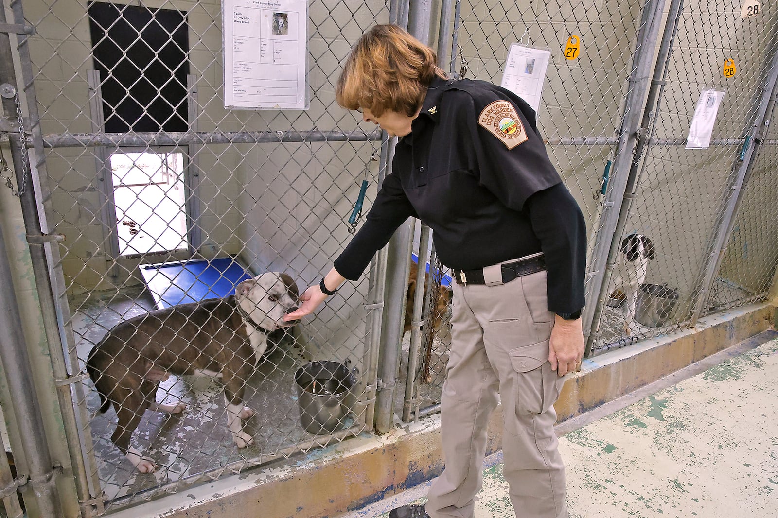 Clark County Dog Warden Sandy Click visits with the dogs up for adoption in the Clark County Dog Shelter Thursday, Jan. 18, 2024. BILL LACKEY/STAFF