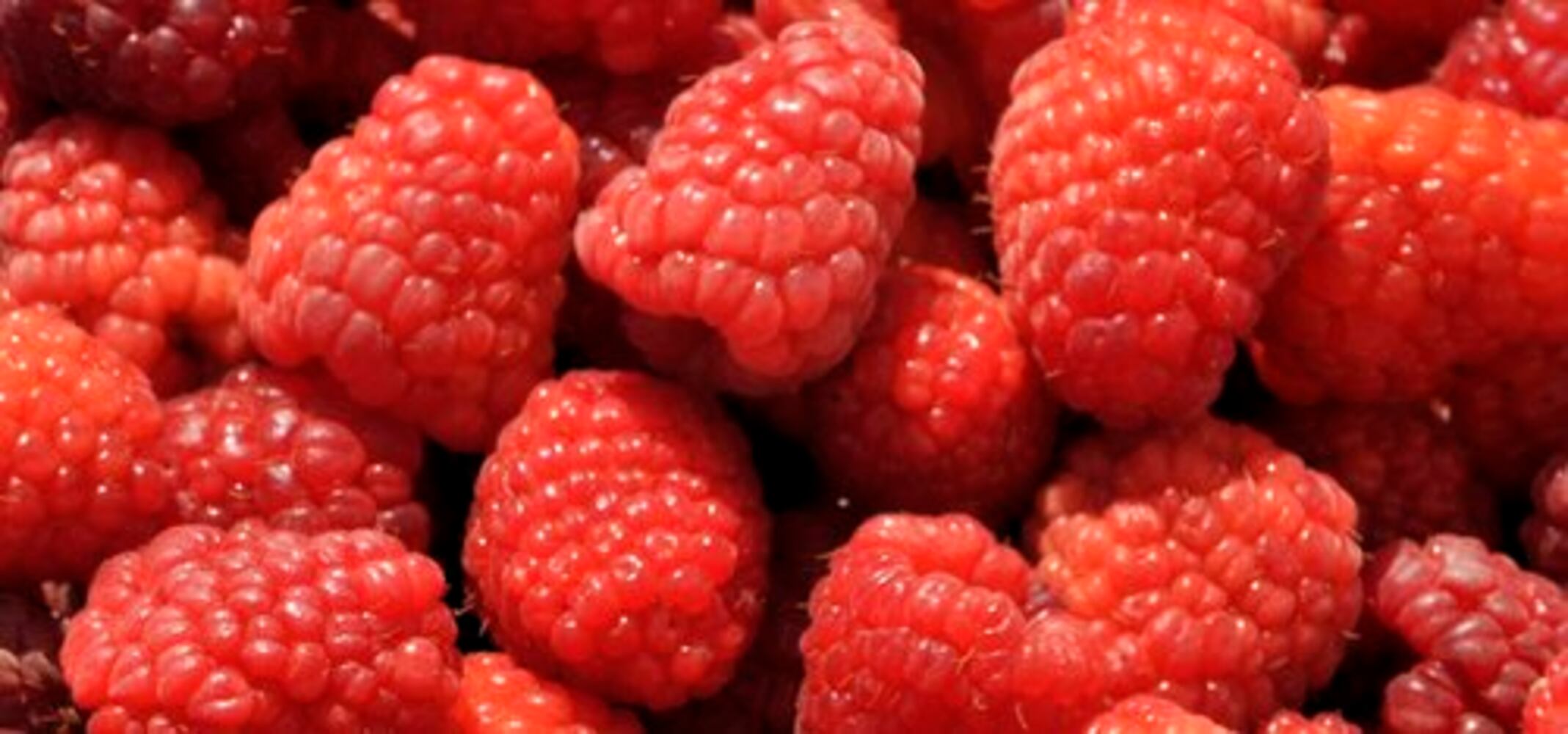 Berry Farm thrives in Champaign