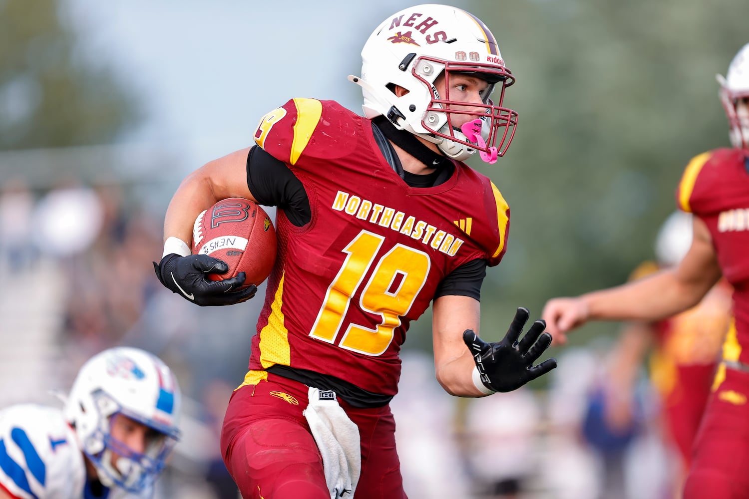 northeastern greeneview hsfb