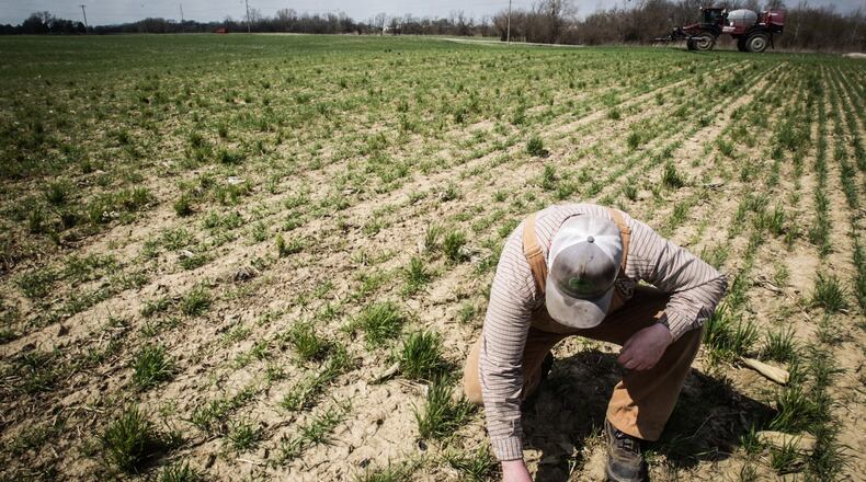 Ohio farmers could see the most economic fallout from the Russian invasion of Ukraine. In this file photo, farmer Lane Osswald works on his family's 1500 acre farm in Preble County north of Eaton.