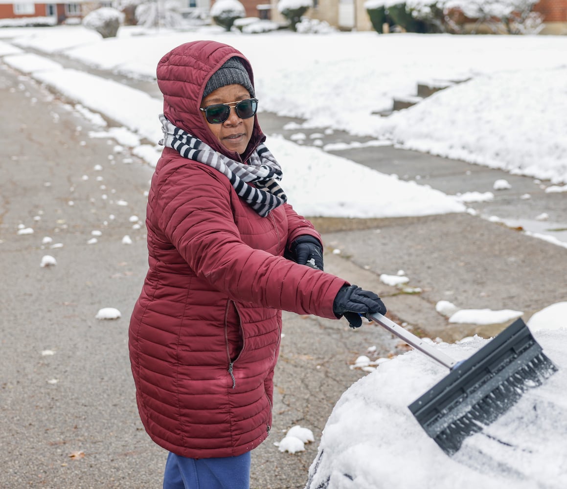 November 2025 Springfield Snow 