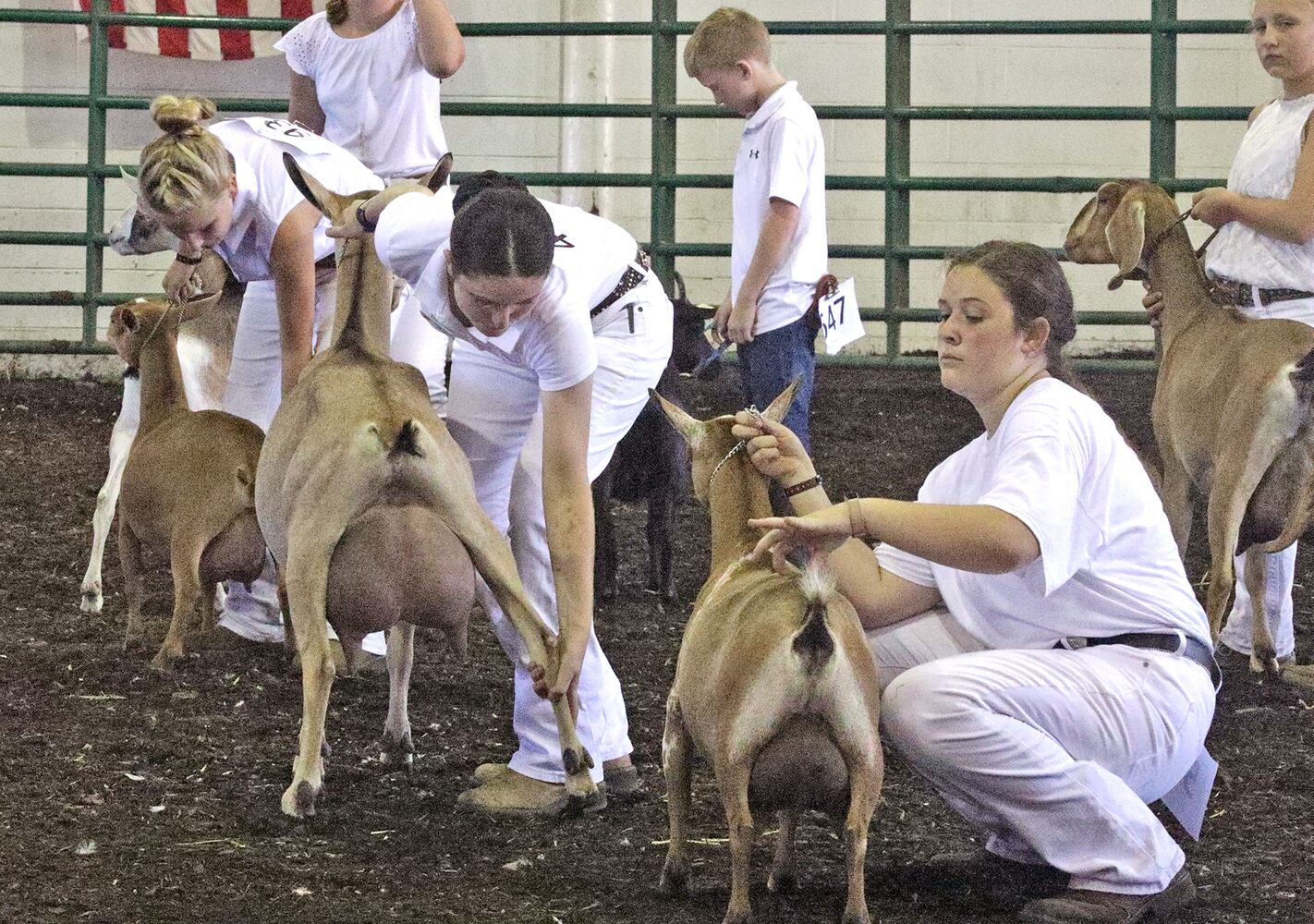 072721 Clark County Fair SNS