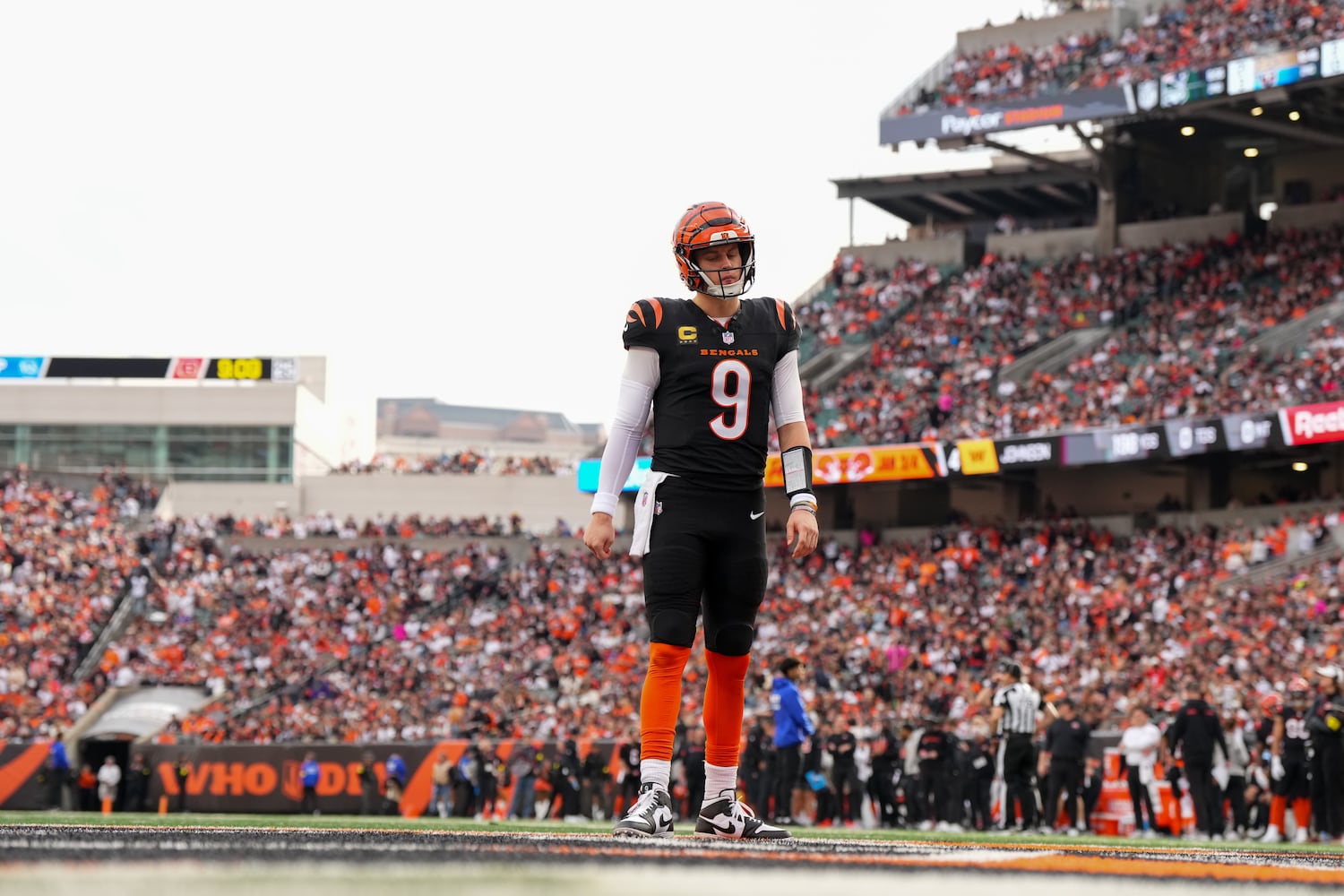 Cardinals Bengals Football