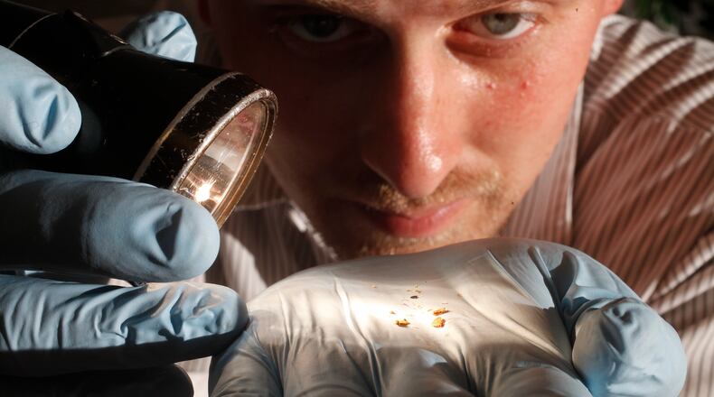 Josh Thompson, a service technician with A-Abel Exterminating, holds dead bed bugs and eggs in his palm.