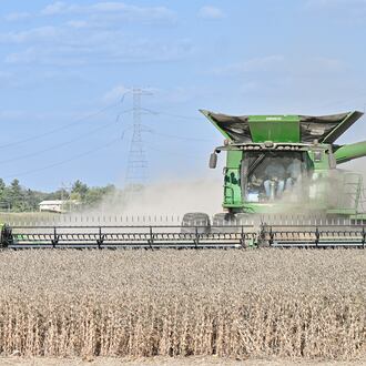 The Trump administration's $12 billion domestic aid package to farmers will serve as a stop-gap measure until next year, Ohio farm leaders say. BRYANT BILLING/STAFF