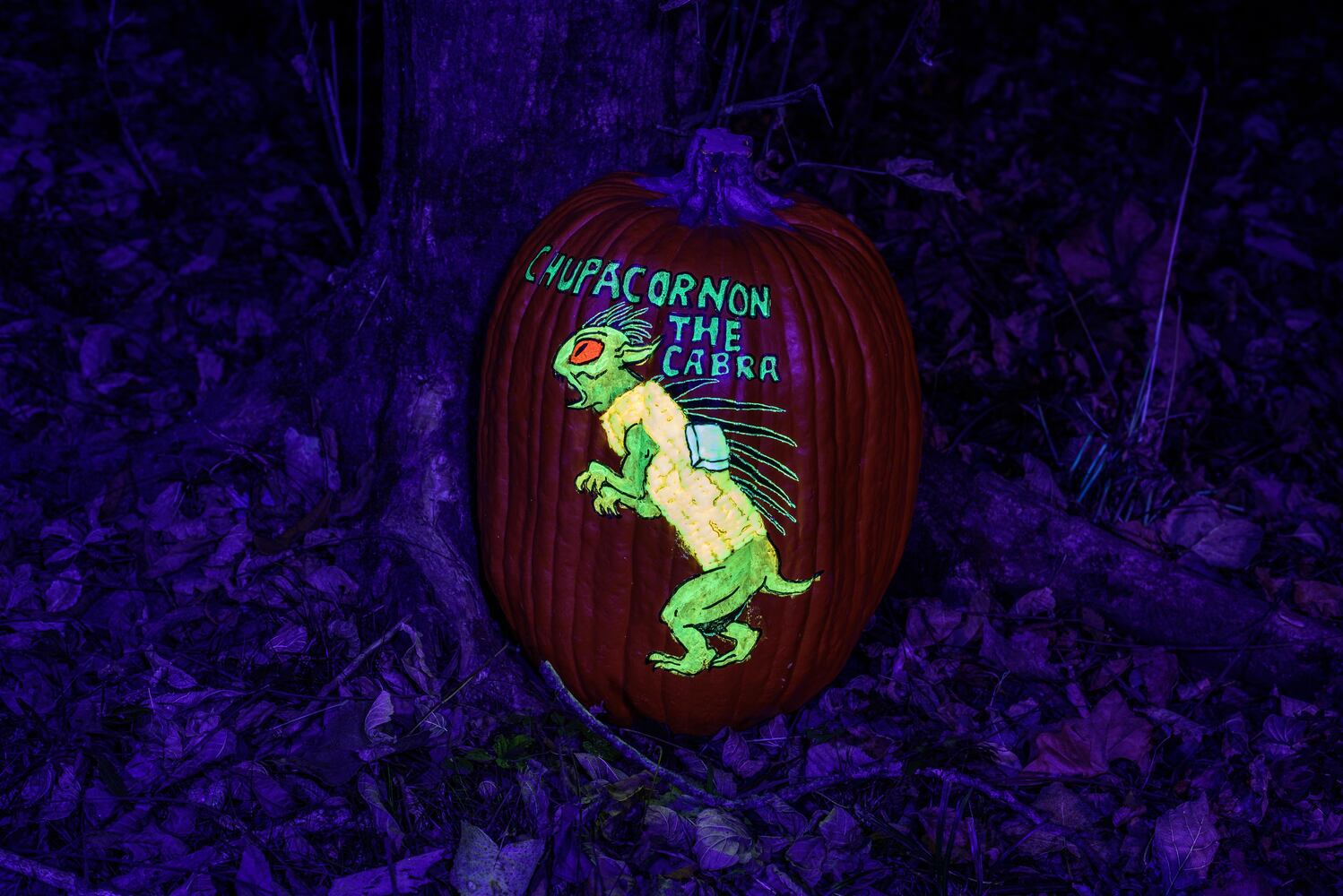 PHOTOS: 2024 Pumpkin Glow at Caesar Ford Park