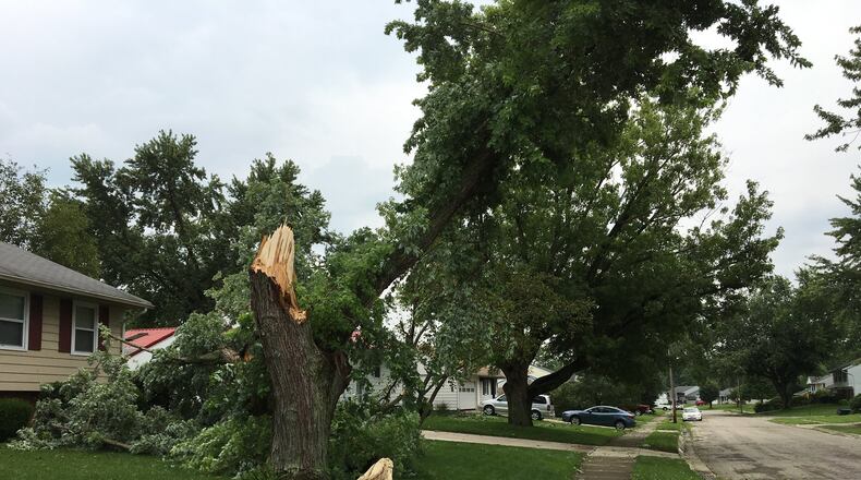 Residents of Springfield’s Northern Estates neighborhood awoke Saturday morning to find trees that had snapped or blown over such as this residence on Marinette Drive. BRETT TURNER / CONTRIBUTED