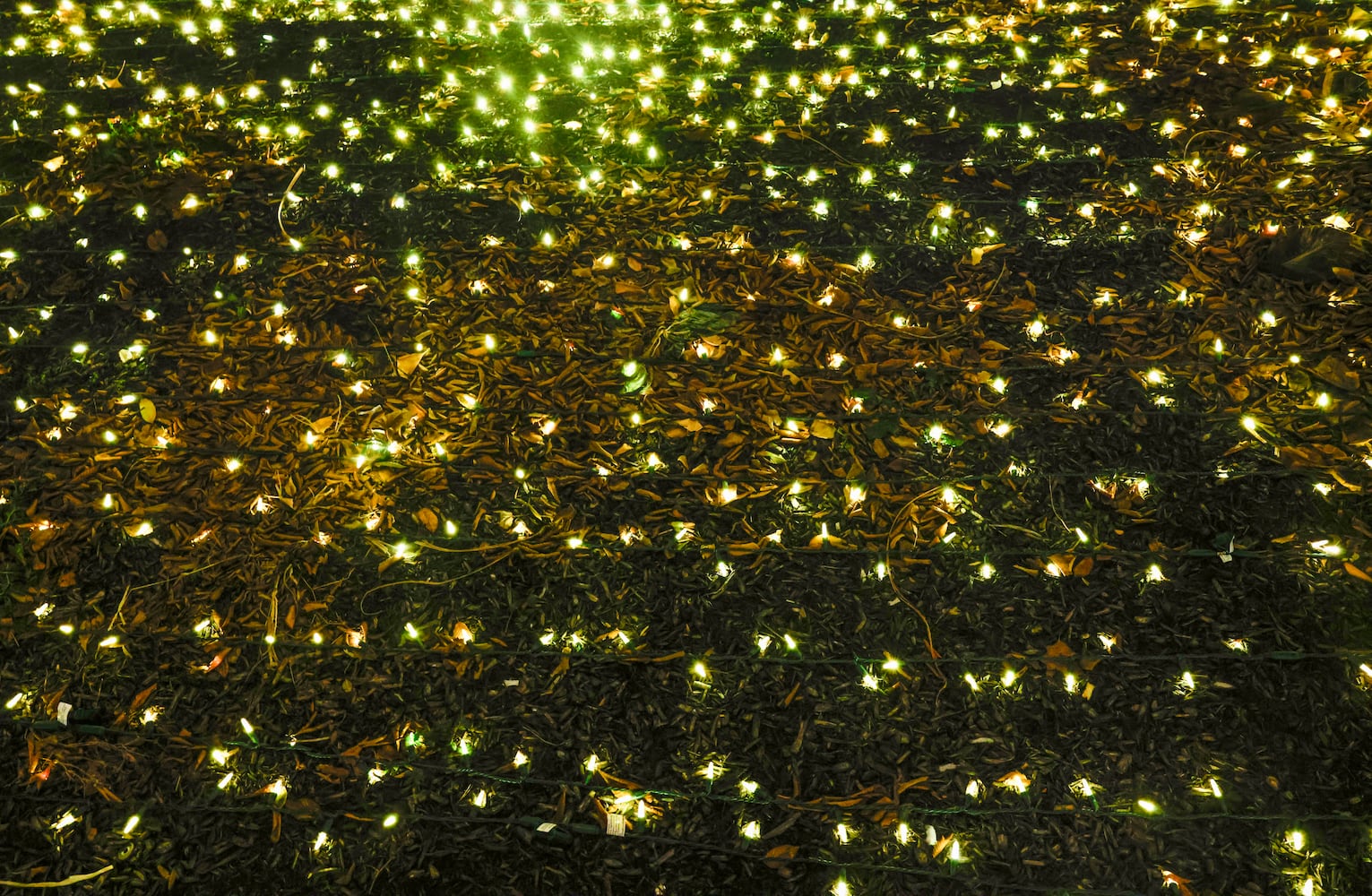 Christmas decorations around Springfield