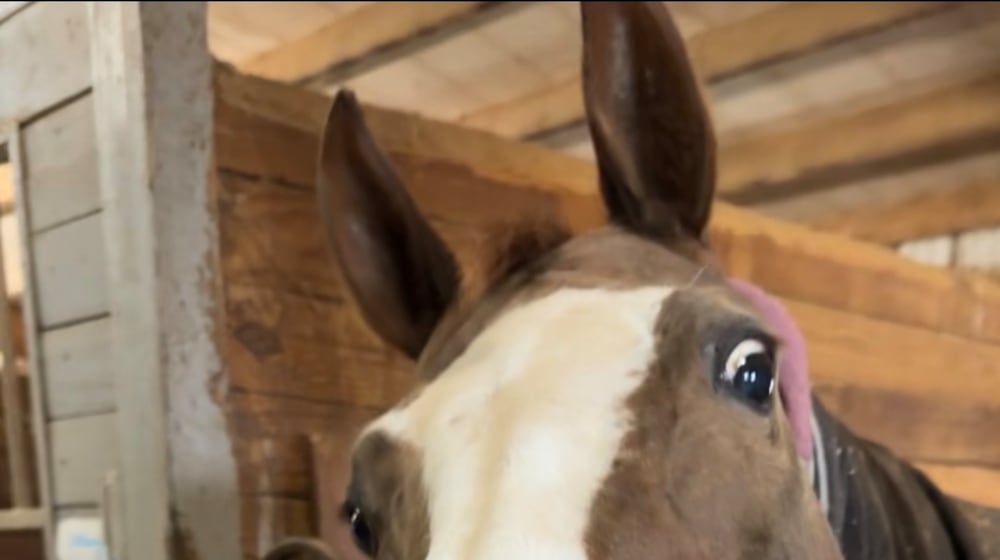 Social media star Georgia Peach. CONTRIBUTED