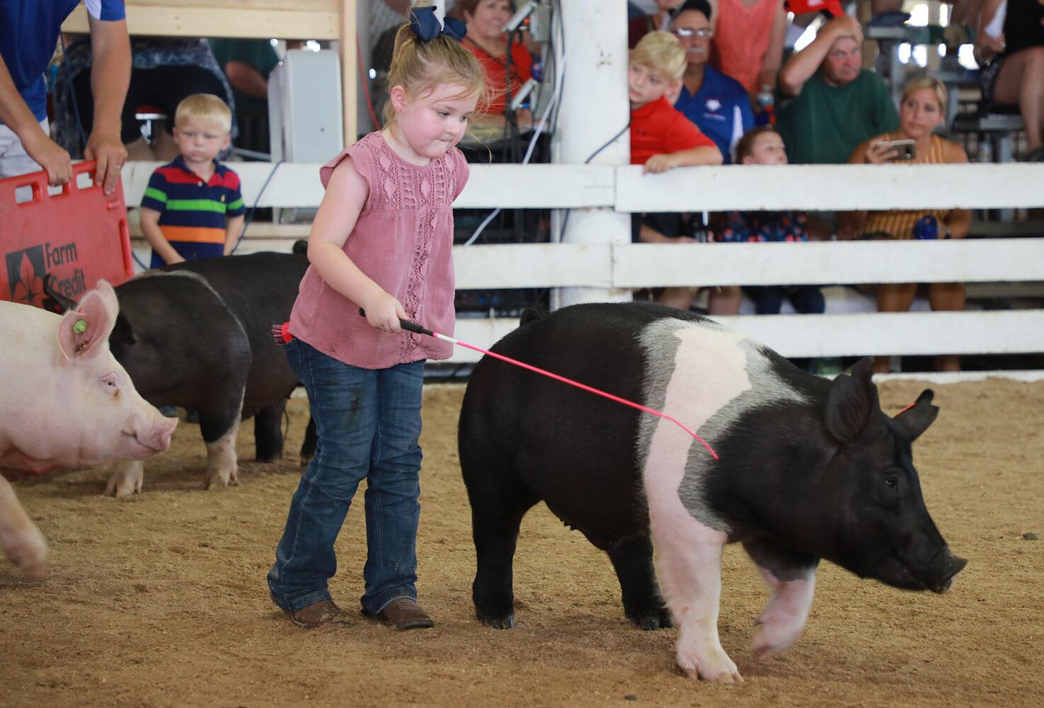 85 PHOTOS: 2019 Clark County Fair