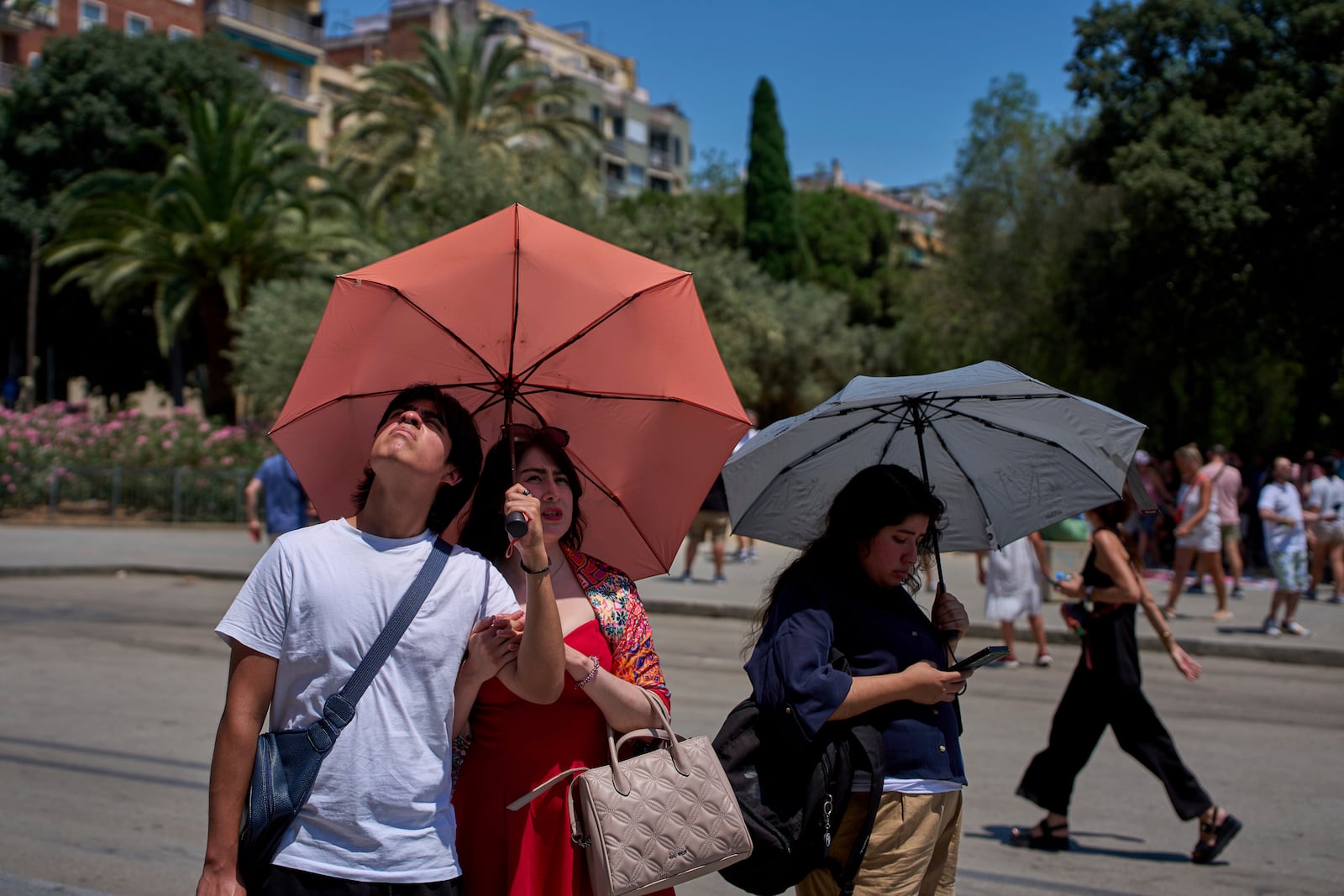 Tourists protect themselves from the sun with umbrellas while looking at the Sagrada Familia church on a hot day in Barcelona, Spain, Monday, June 30, 2025. (AP Photo/Emilio Morenatti)