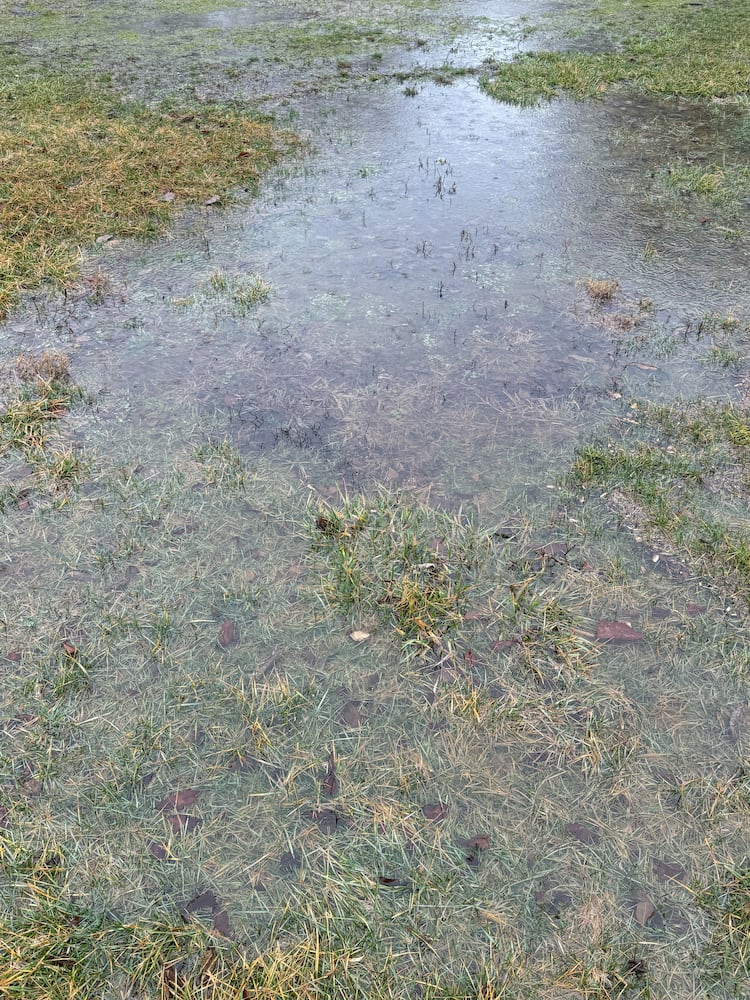 Springfield Flooding