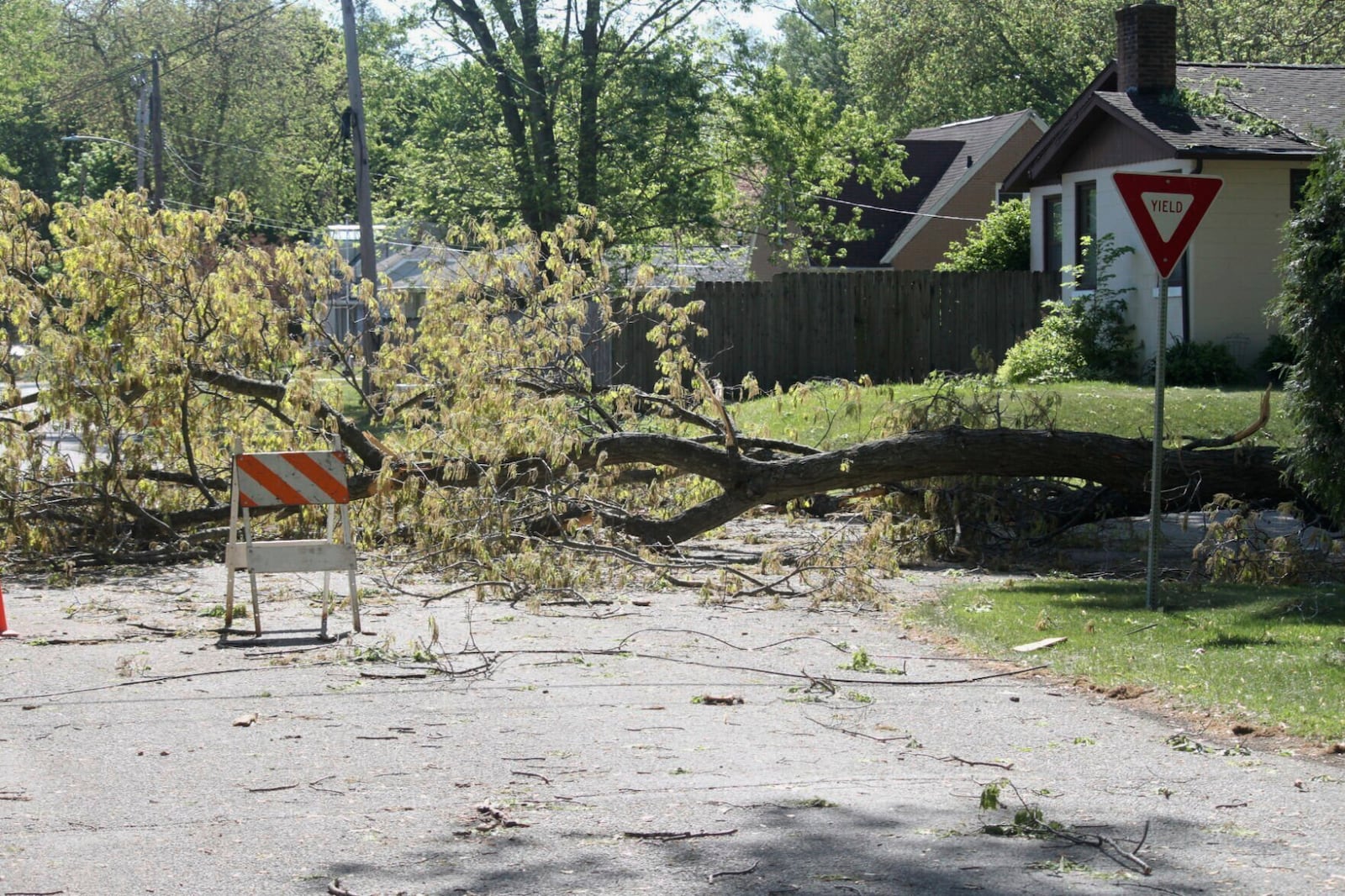 Downed trees are shown blocking Leo and Oakland Avenues in Trail Creek, Ind., on Friday, May 16, 2025. (Donavan Barrier /La Porte County Herald-Dispatch via AP)