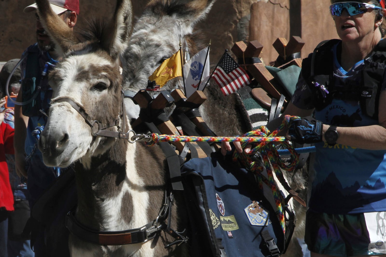Pack burros and their human companions race through the streets of a former mining town and across backcountry desert trails in Cerrillos, N.M., on Saturday, May 3, 2025. (AP Photo/Morgan Lee)