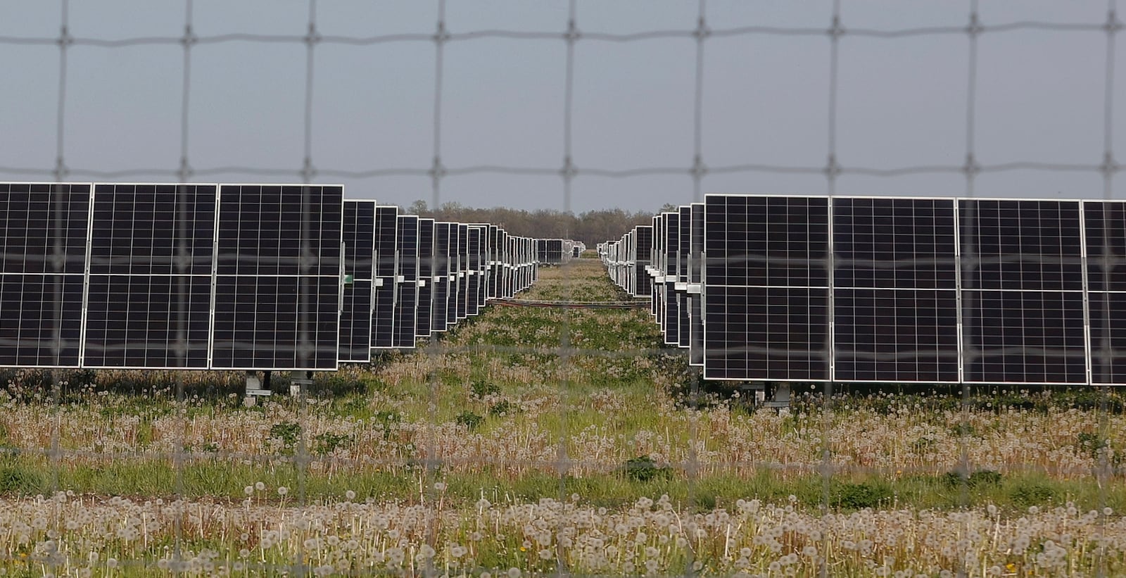 Solar panels sit behind a fence on Wednesday, April 30, 2025, at the Madison Fields Solar Project. JOSEPH COOKE/STAFF