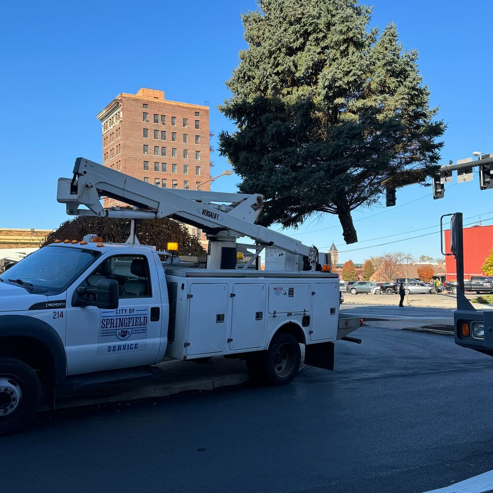 Holiday in the City Tree Arrival