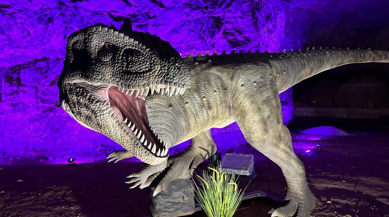 Dinosaurs return to Louisville Mega Cavern Feb. 18 with Dinos Under Louisville. The drive-thru features 80 animatronic dinosaurs and runs until April 30. CONTRIBUTED