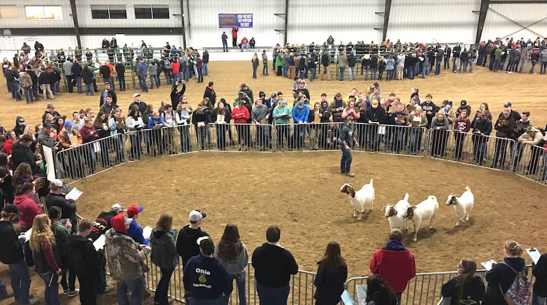 Crowds gather around livestock pins at the Champion Center at the Clark County Fairground for the Wilmington College Livestock Judging Wednesday. Chuck Hamlin/Staff