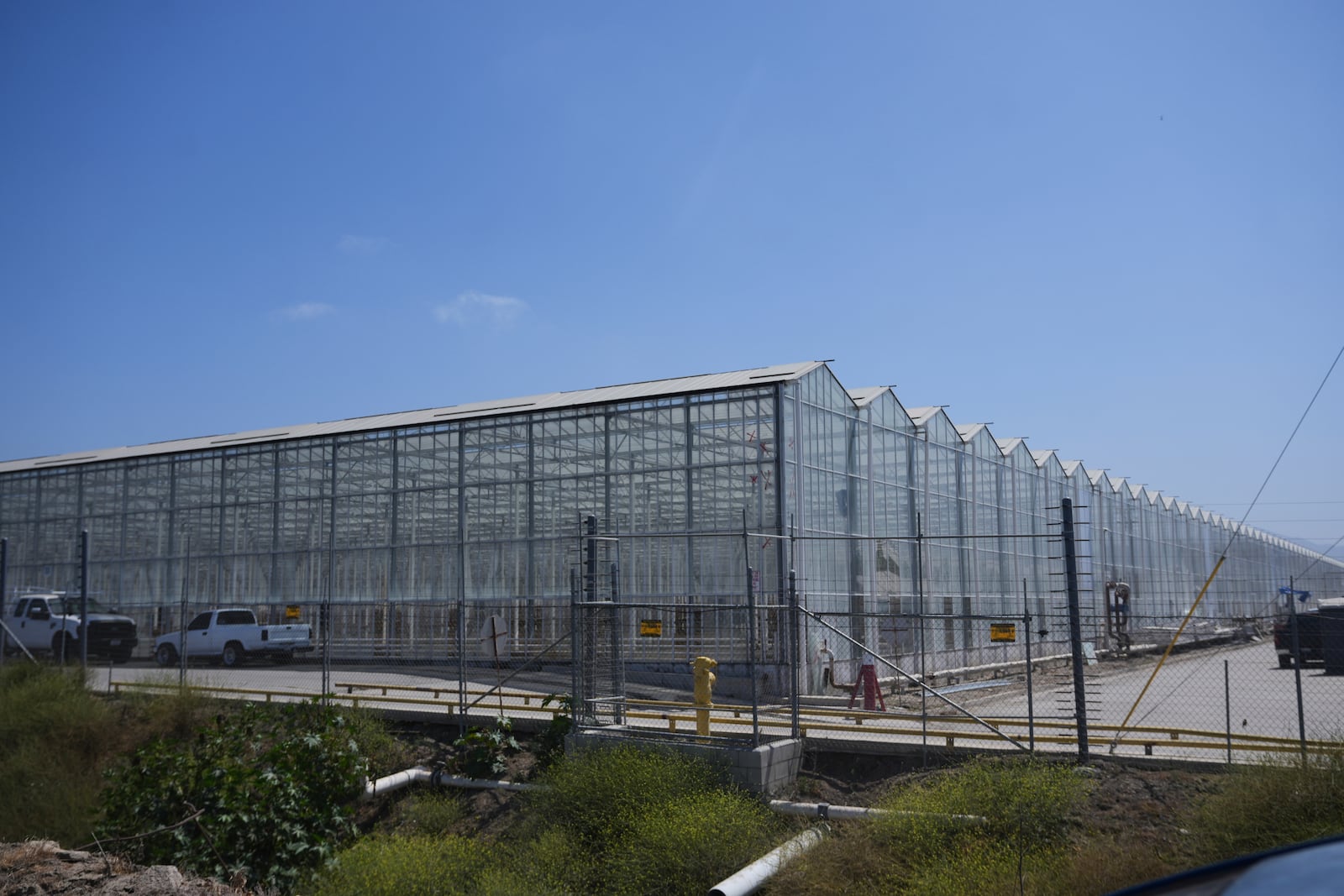 FILE - The exterior of Glass House Farms is shown, a day after an immigration raid on the facility, on Friday, July 11, 2025, in Camarillo, Calif. (AP Photo/Damian Dovarganes, File)