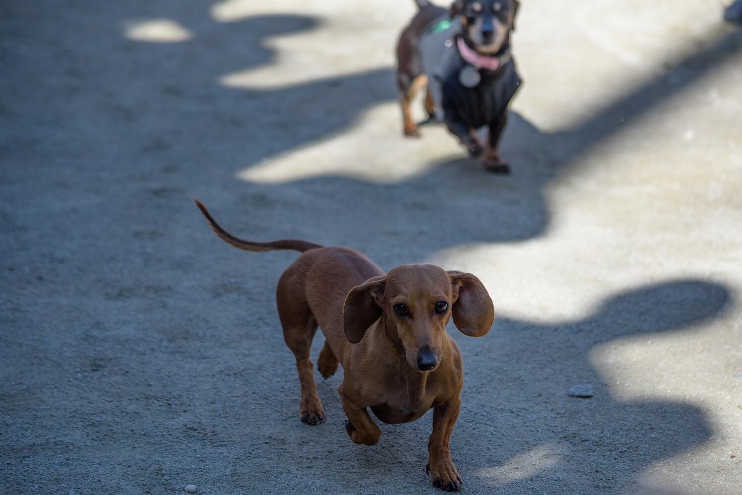 PHOTOS: Did we spot you keeping the Oktoberfest celebrations going this weekend?