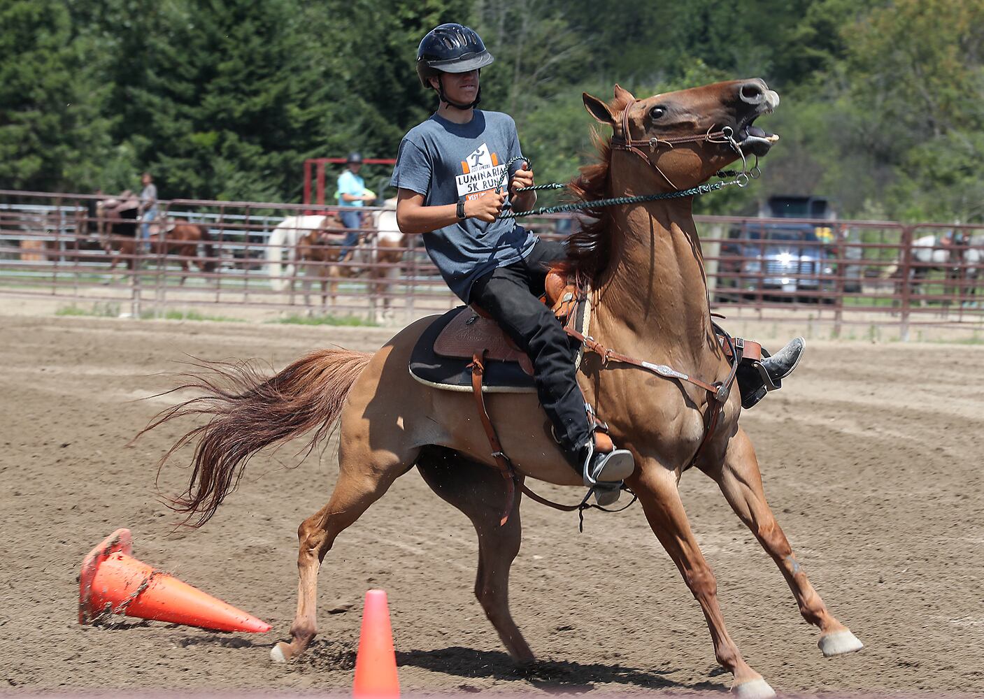 Champaign County Fair