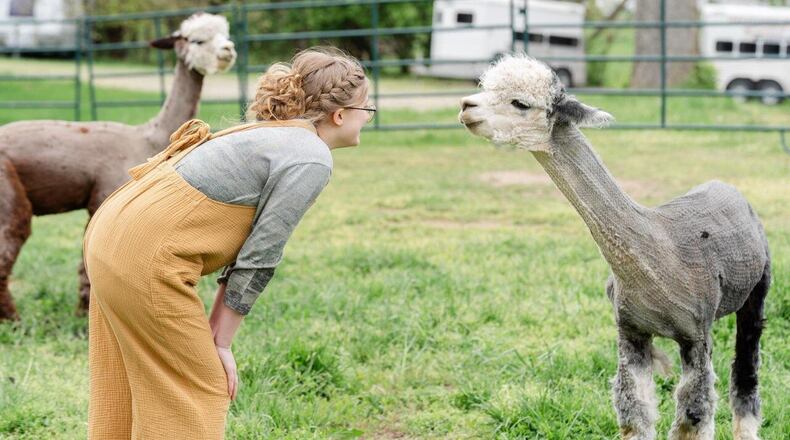 Holdfast Alpaca Farms will host its second spring fling event from 2 to 8 p.m. on Friday, May 17, and from 10 a.m. to 7 p.m. on Saturday, May 18, at 12026 Lower Valley Pike in Medway.