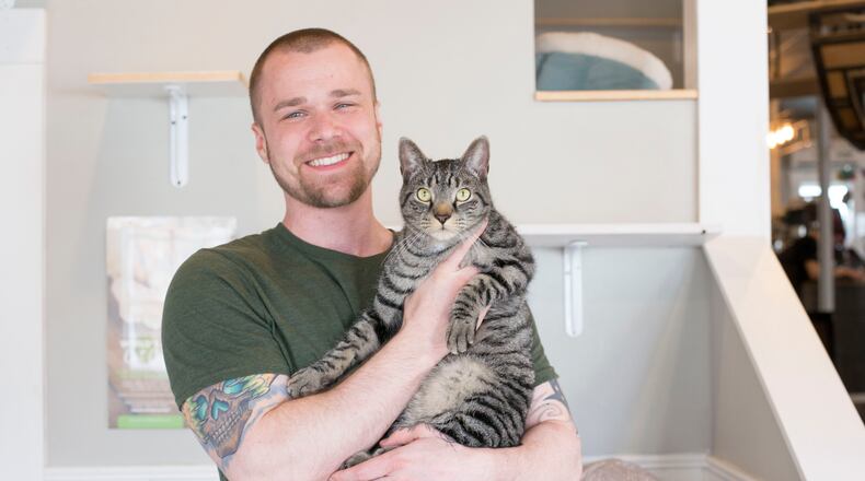 Gem City Kitties, the nonprofit arm of Gem City Catfe, plans to open Gem City Vet in Trotwood.
