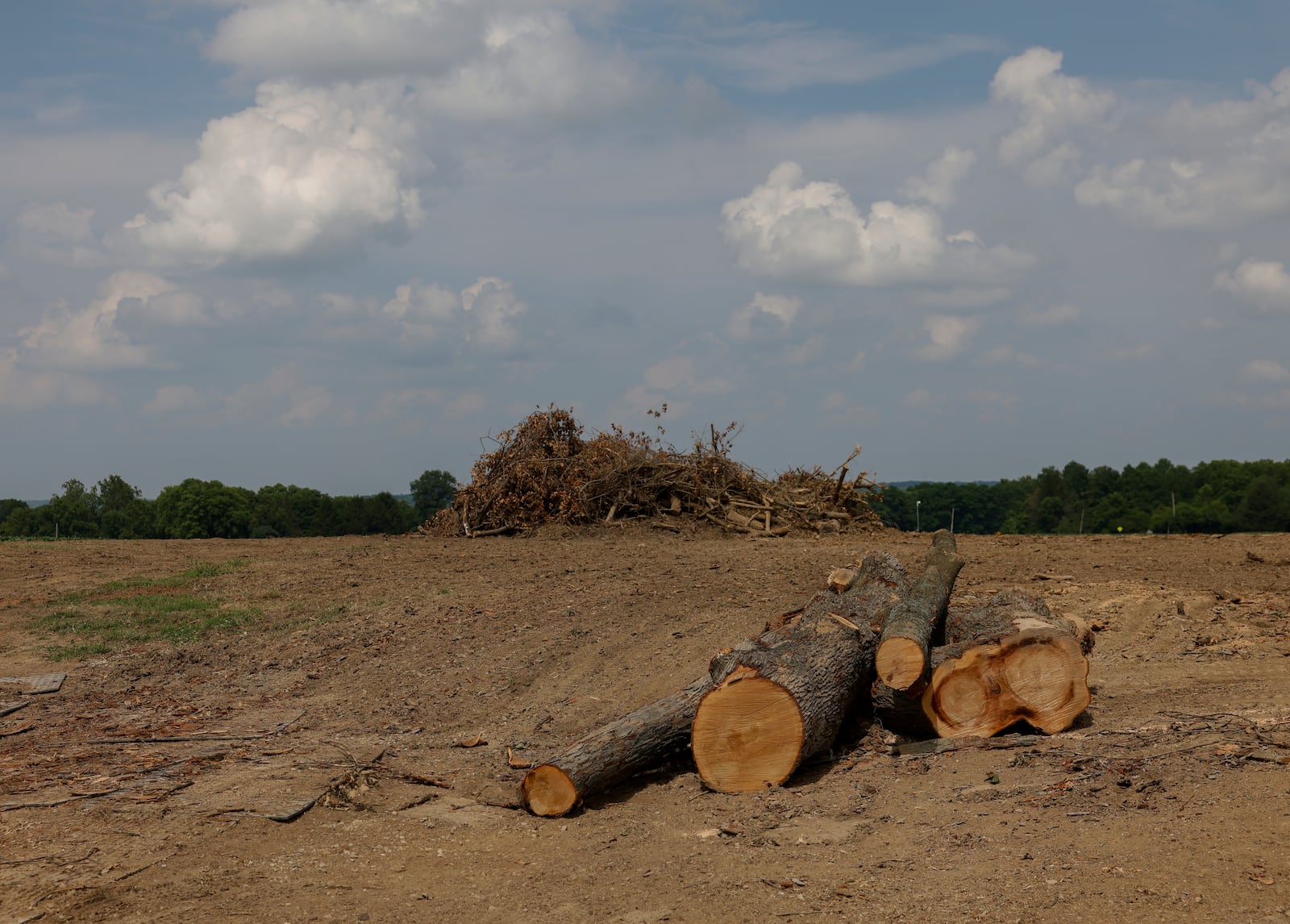 Tree stumps lie in a field in the Bluffs of Enon on Tuesday, July 15, 2025, in Fairborn. JOSEPH COOKE/STAFF