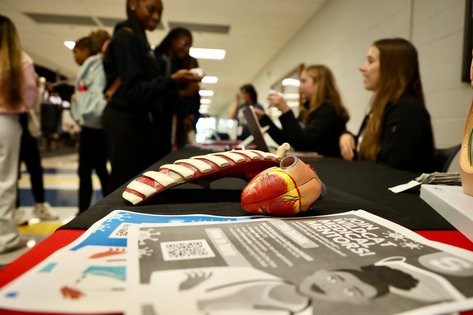 Springfield High School students interested in healthcare careers learn more about a new mentorship from OSU medical students Emily Stanciu and Anna Ryder.
