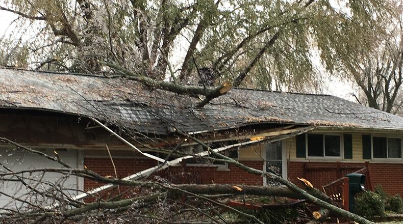 JAROD THRUSH / STAFF