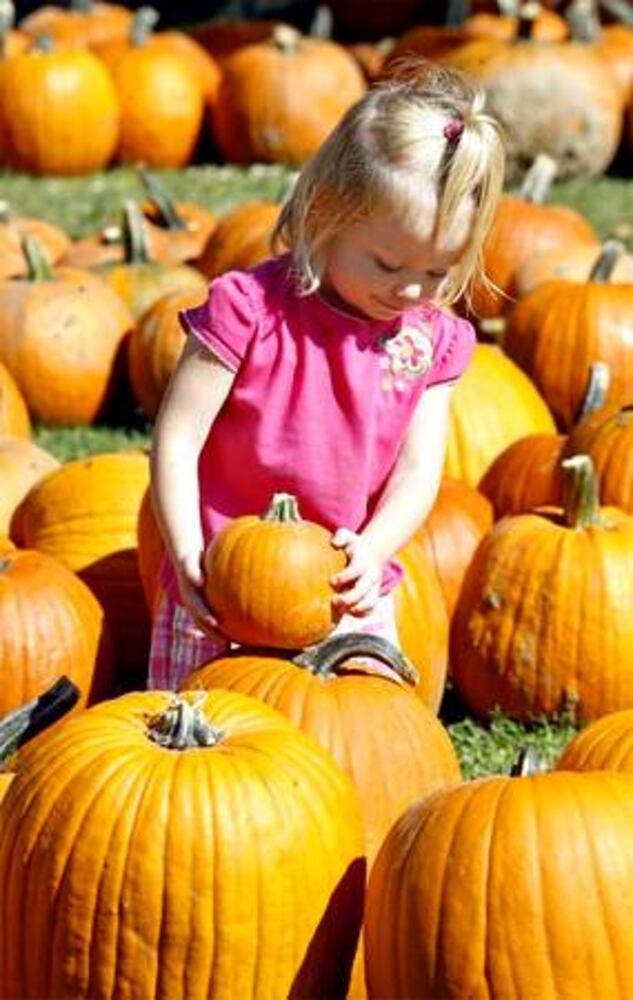 Our fall photos