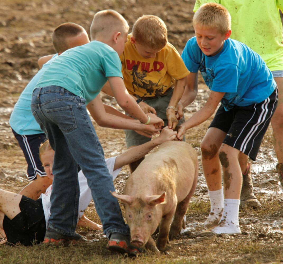 Clark County Fair - Kiddie Pig Chase