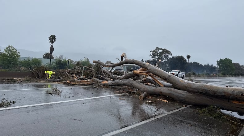 This image provided by the Santa Barbara County Fire Department shows a large tree that has fallen across the highway blocking all southbound lanes and the fast lane northbound in Goleta, Calif., Monday, Feb. 16, 2026. (Santa Barbara County Fire Department via AP)