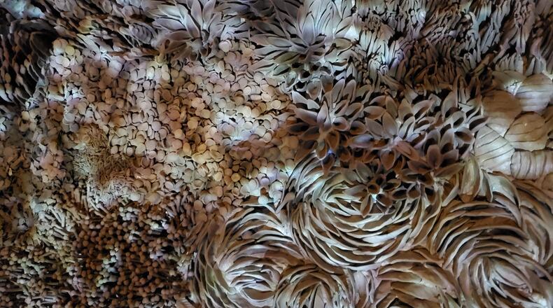 "Debris" is the newest exhibit at the Springfield Museum of Art made of unfired clay by artist Rachel Eng.