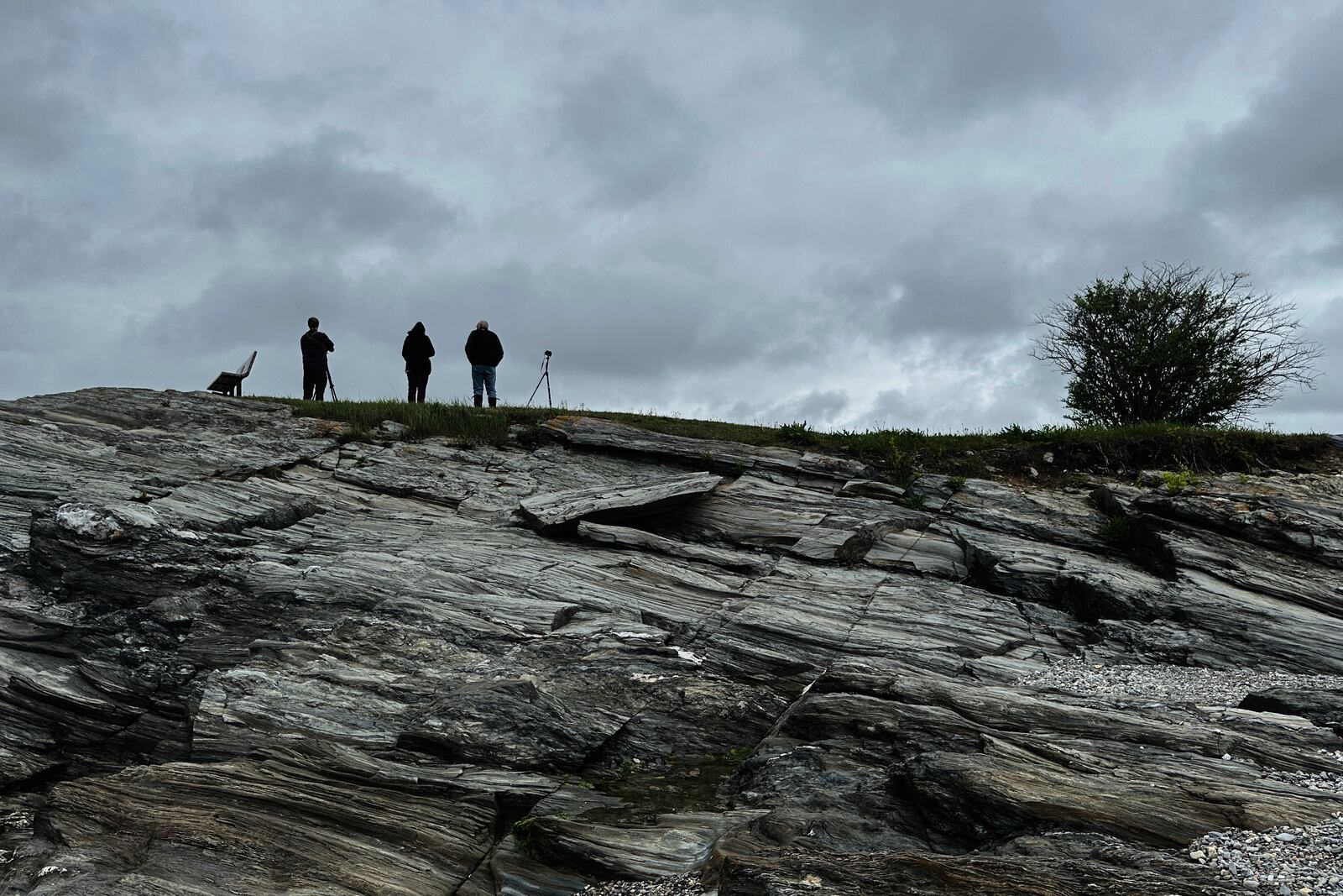 Bird watchers look out under dark skies at Kettle Cove State Park, Thursday, May 22, 2025, in Cape Elizabeth, Maine. (AP Photo/Patrick Whittle)