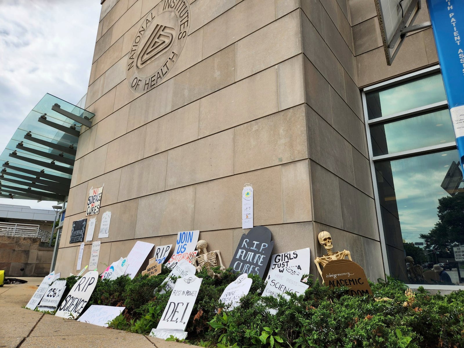 This photo obtained by The Associated Press shows cardboard tombstones symbolizing canceled research grants at the NIH Visitors Center in Bethesda, Md., Saturday, on June 7, 2025. (AP Photo)