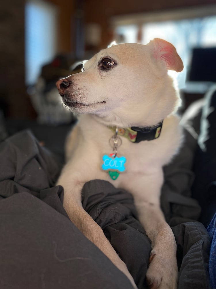 PHOTOS: It’s National Puppy Day, and our staff shows off their best friends