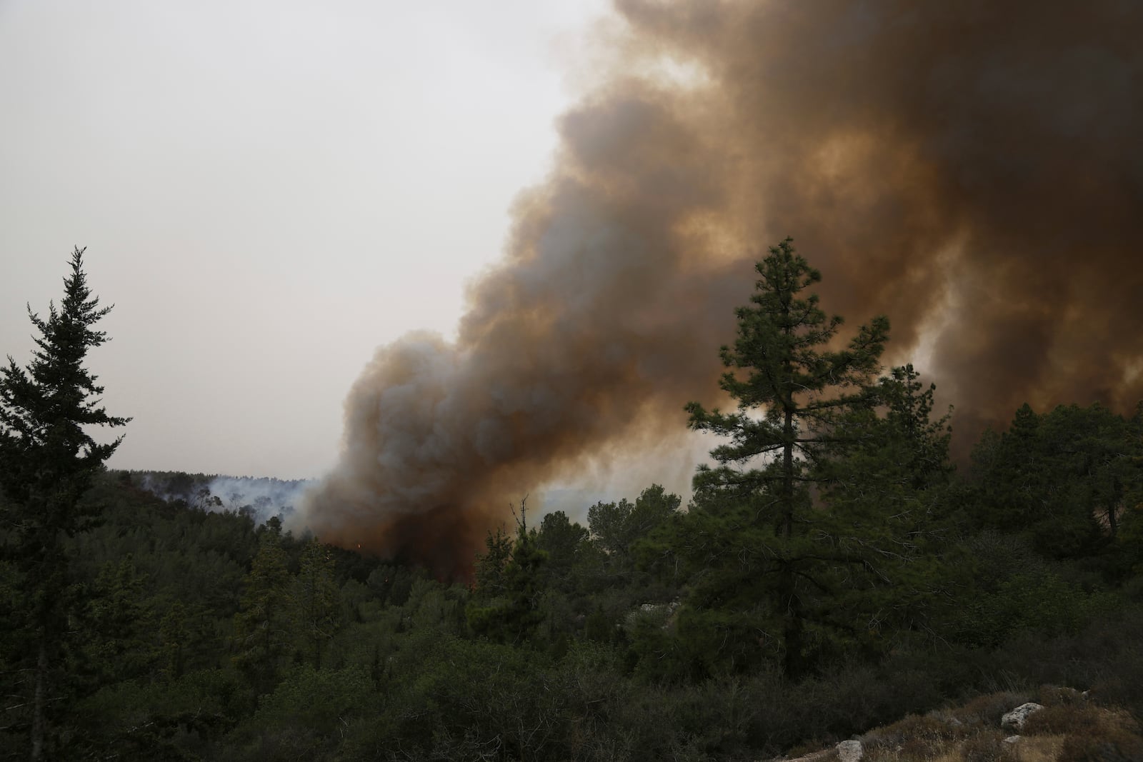 A forest fire burns near Jerusalem, Wednesday, April 30, 2025. (AP Photo/Mahmoud Illean)