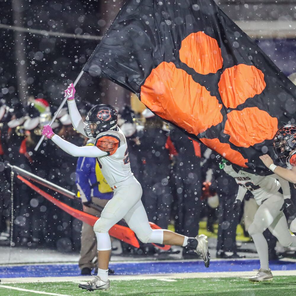 hsfb