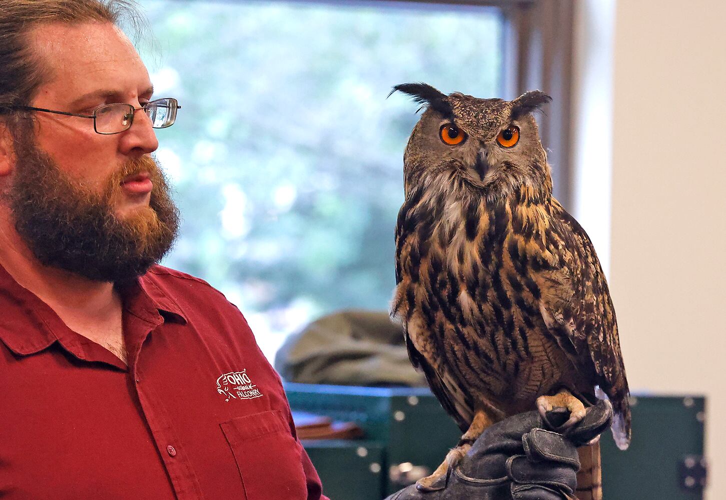 Library Falconry SNS