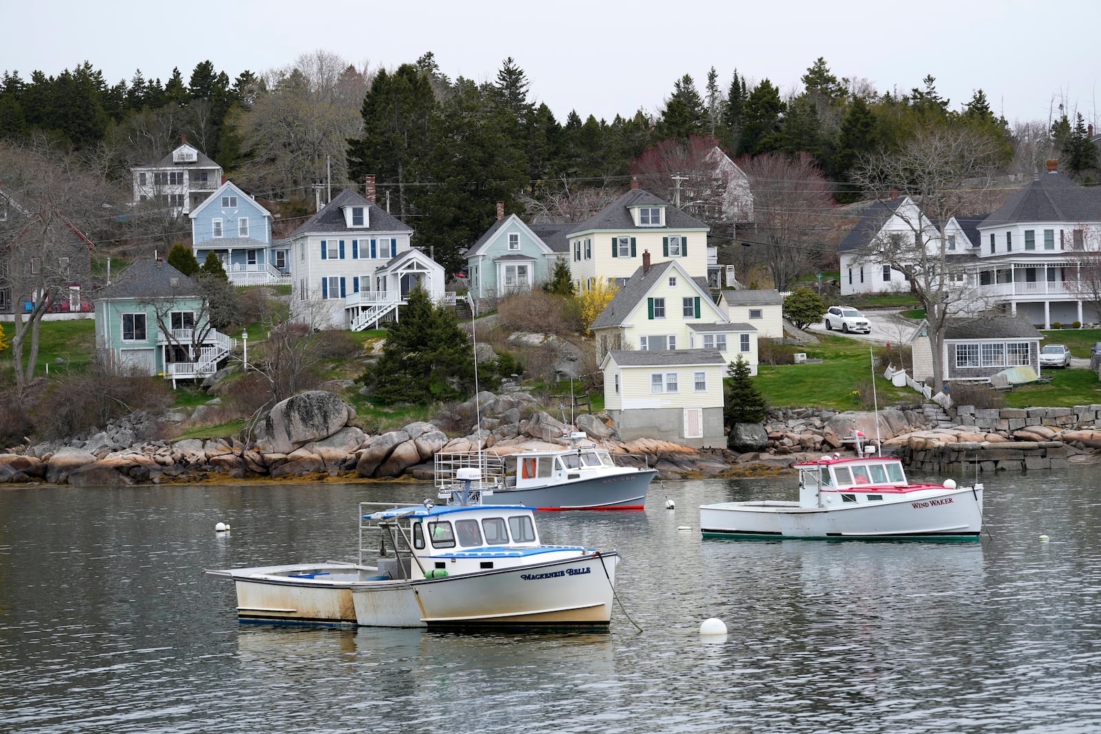 Lobster fishing boats are moored in Stonington, Maine, on Friday, May 2, 2025. (AP Photo/Robert F. Bukaty)