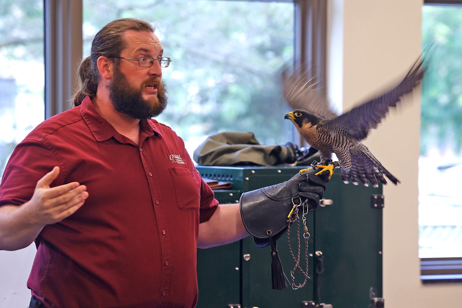 Library Falconry SNS