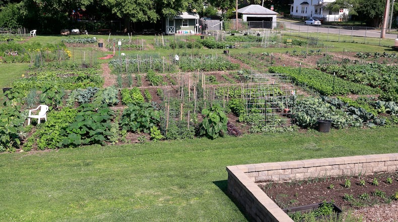 The Jefferson Street Oasis community garden Wednesday, June 14, 2023. BILL LACKEY/STAFF