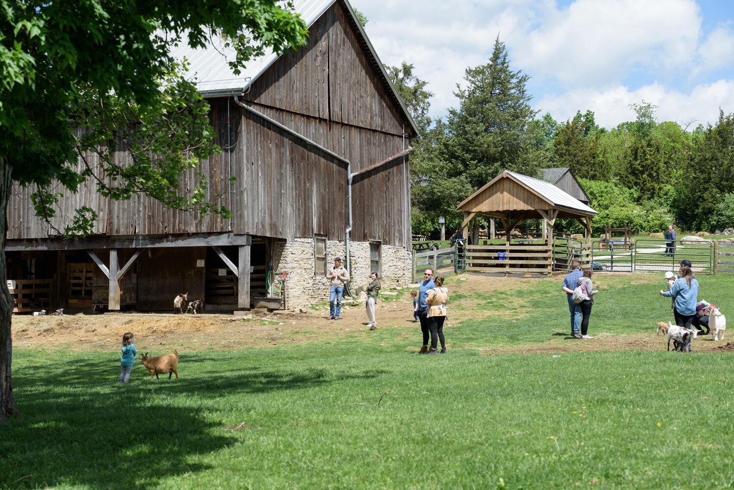 PHOTOS: Wooly Wonders - Spring on the Farm Family Event at Learning Tree Farm