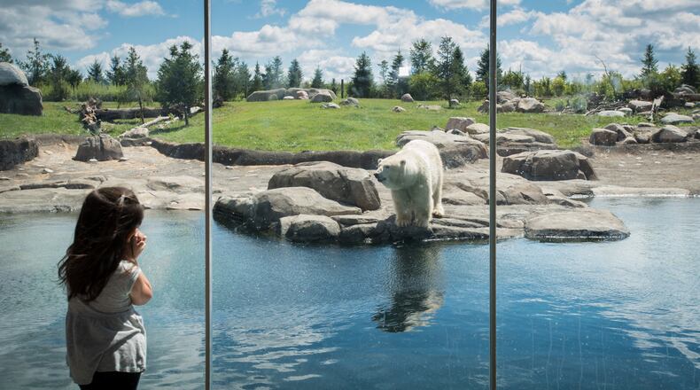 Guest at Polar Frontier in
Columbus Zoo and Aquarium.