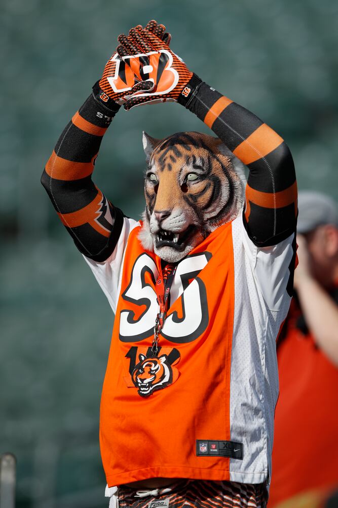 bengals-bears