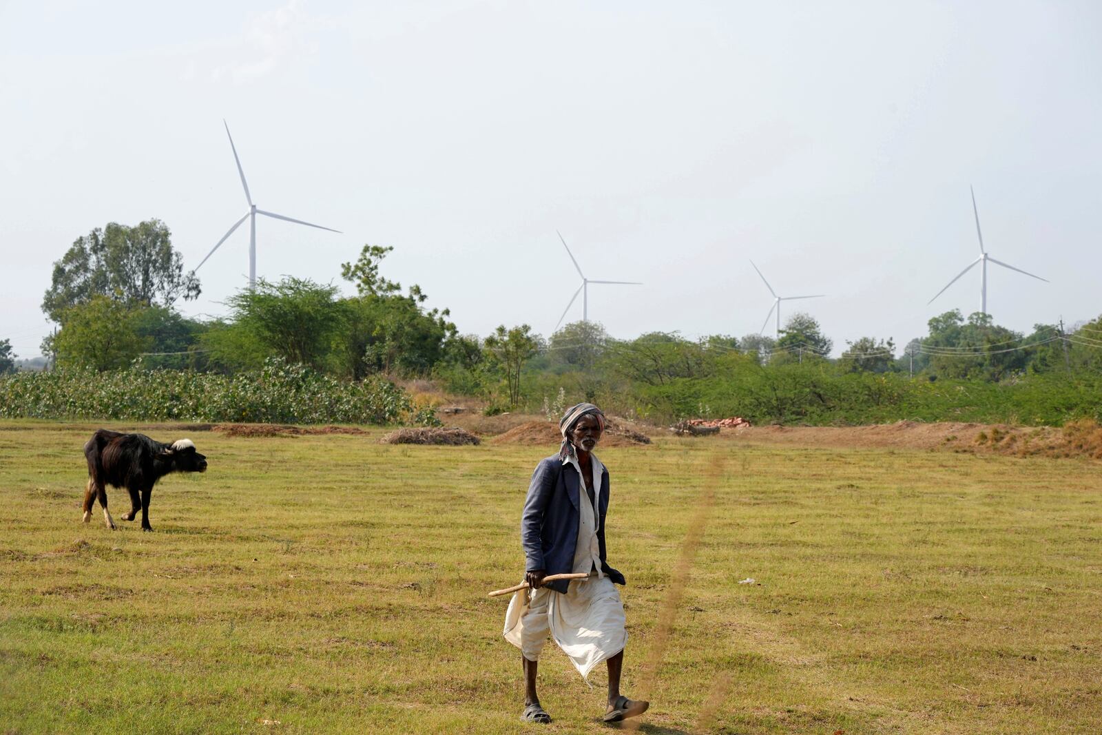FILE - A man walks near wind turbines, an Adani Group project, near Sadla village in Surendranagar district of Gujarat state, India, March 20, 2023. (AP Photo/Ajit Solanki, File)