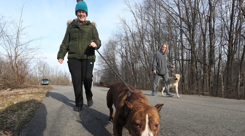 The Clark County SPCA will host Hike with a Hound at George Rogers Clark Park. File/Bill Lackey