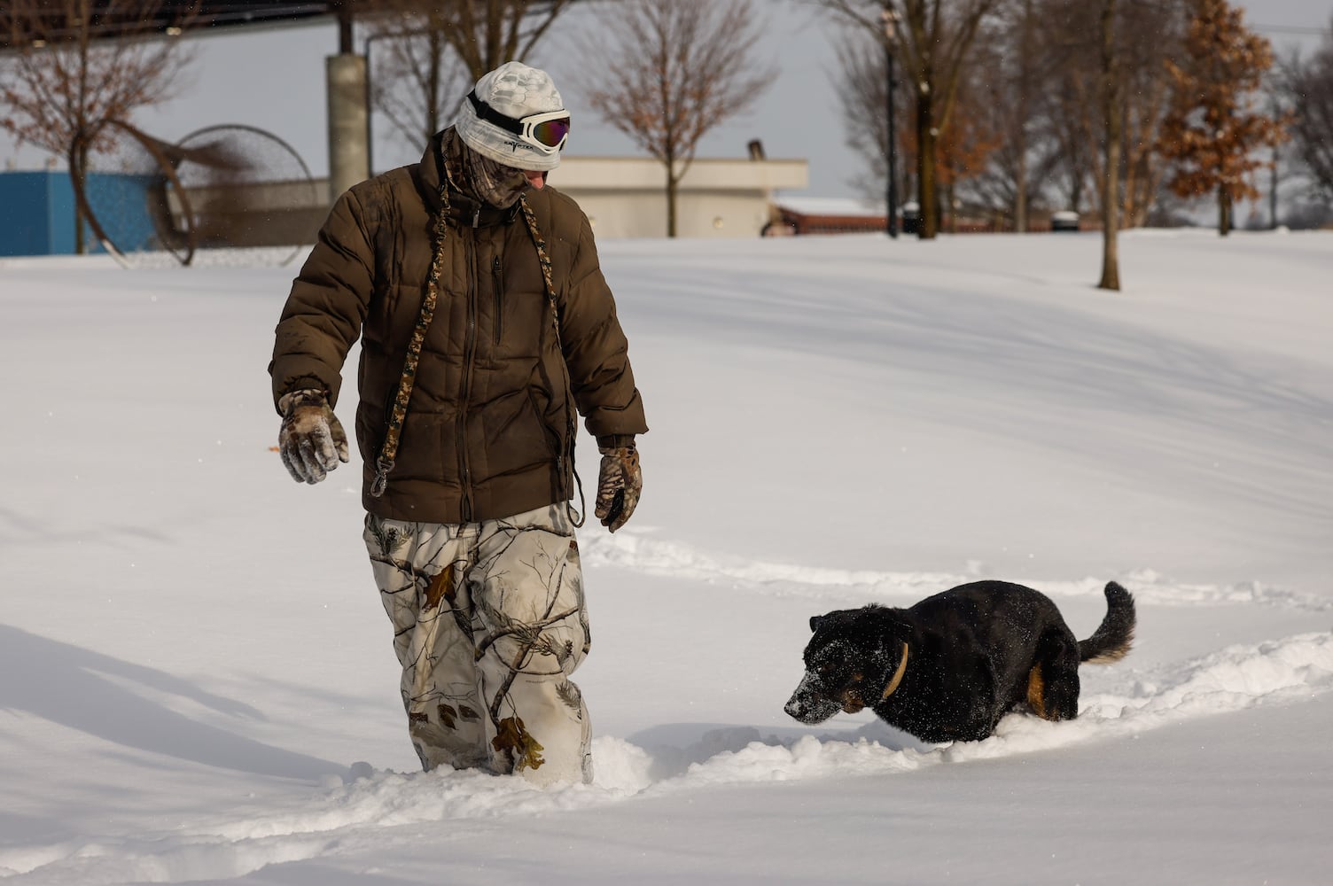 Man and dog interaction