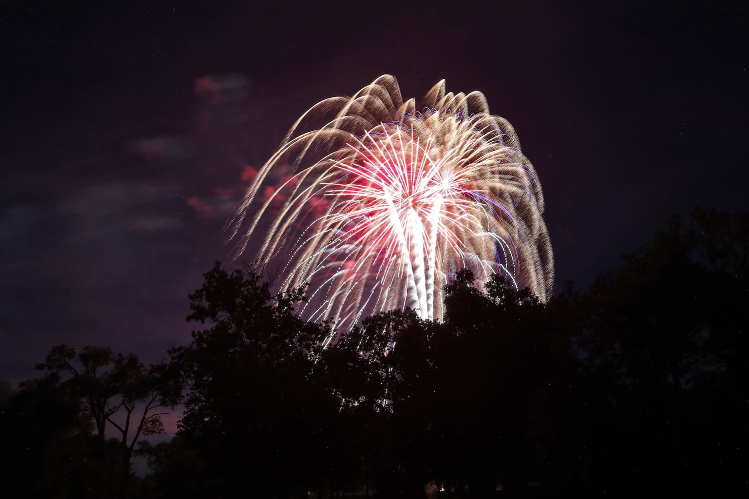 Springfield Fireworks SNS